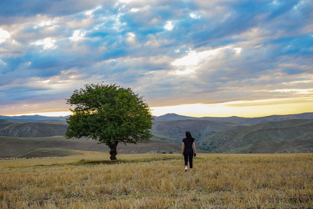 Photograph by İlham Mustafayev