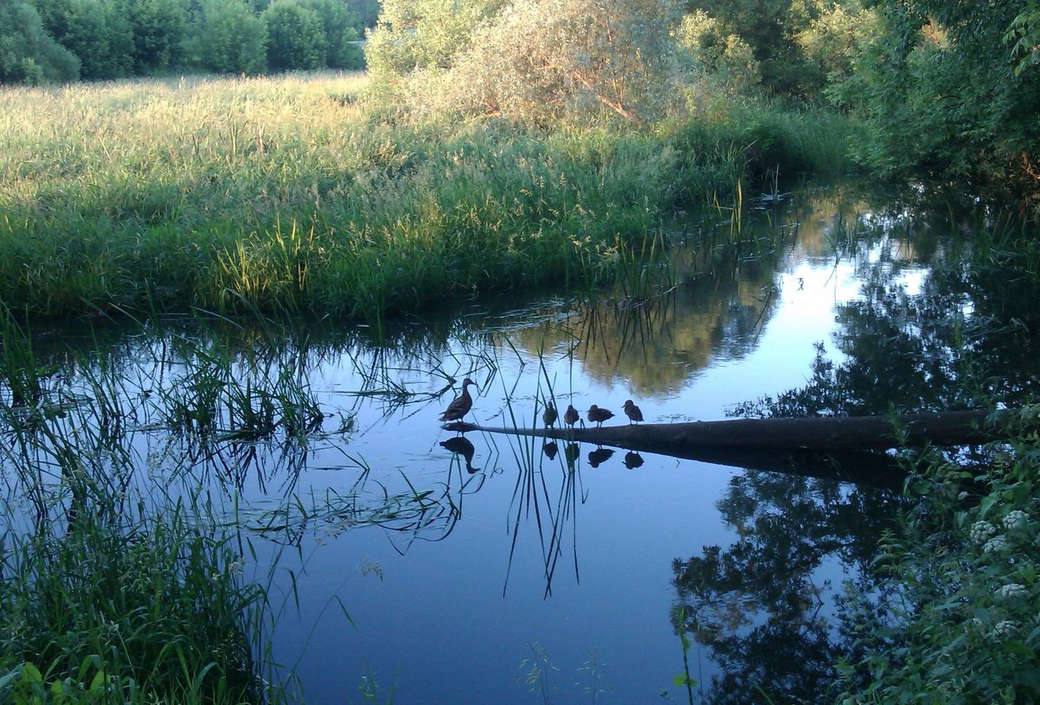 Photo #9539089