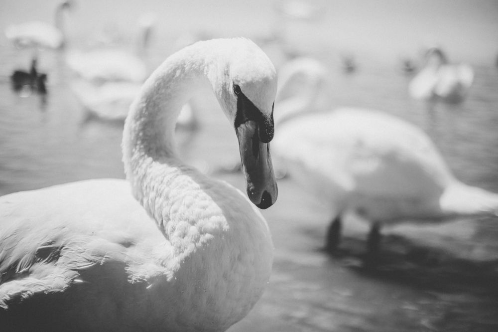 Photograph by Екатерина Андросова