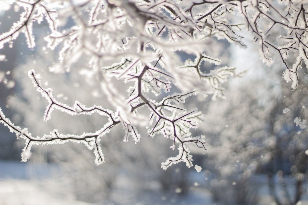 Photograph by Екатерина Андросова