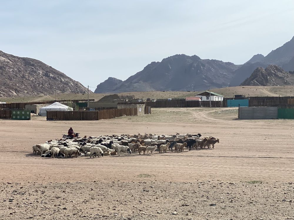 Фотография автора Ольга Горюнова