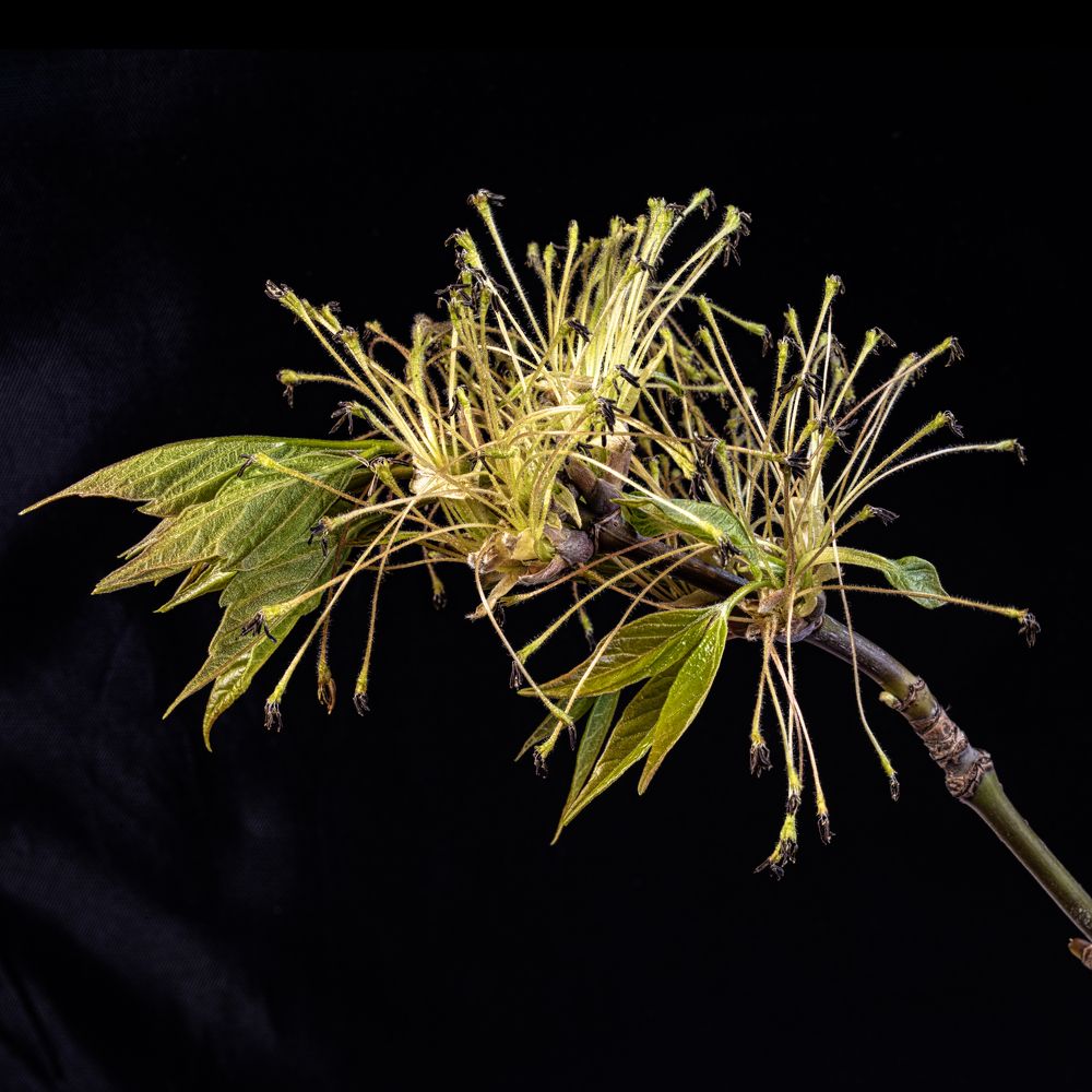 Photograph by Aleksandr Belov