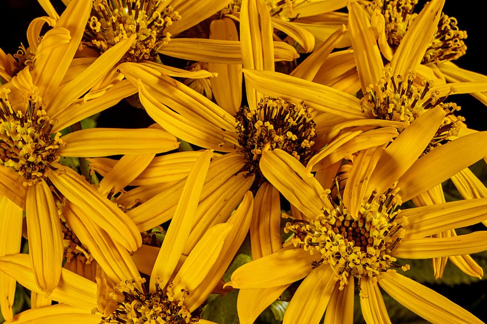 Photograph by Aleksandr Belov