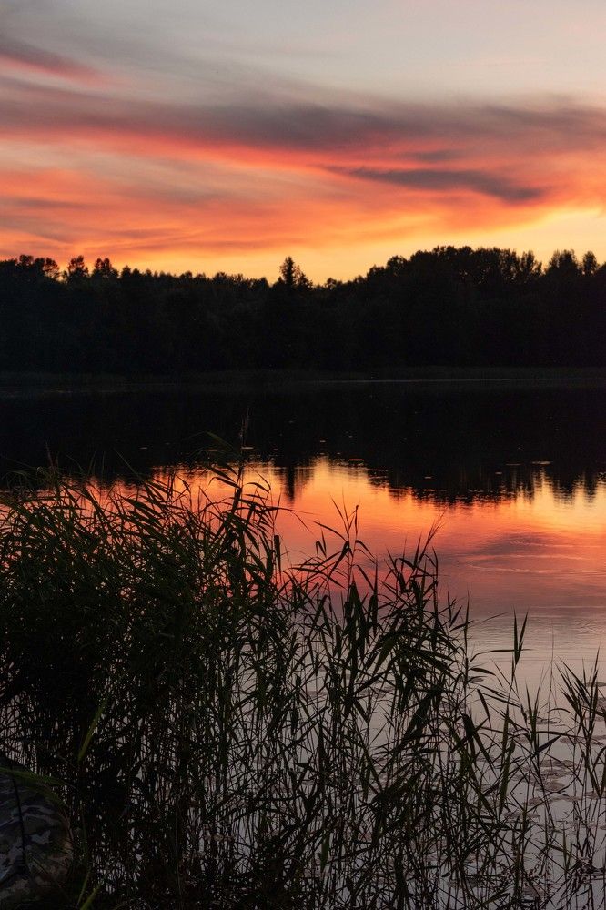 Photograph by Наталья Липко