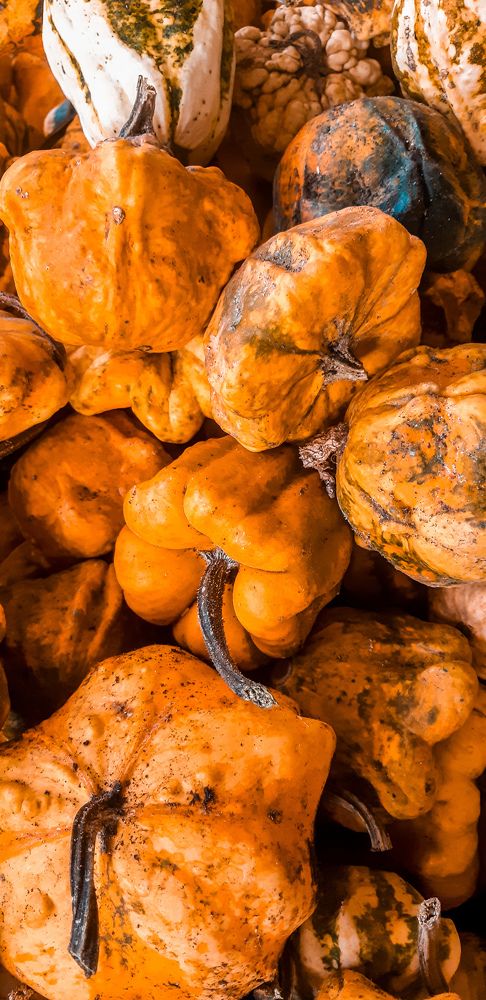 Photograph by Элеонора Конева