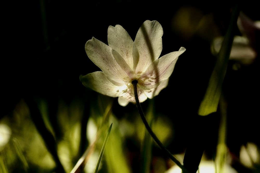 Фотография автора Martineb