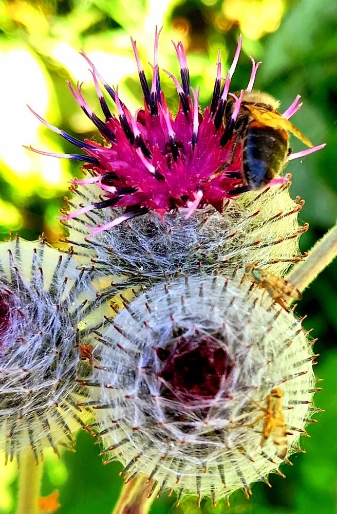 Photograph by Ольга Юрченко