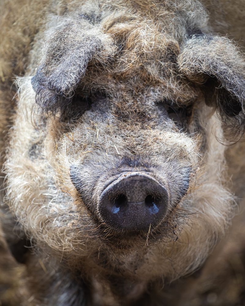 Photograph by Валентин Кольцов