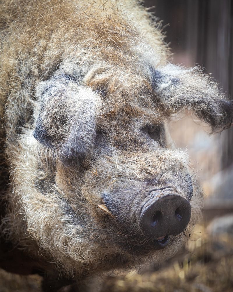 Photograph by Валентин Кольцов