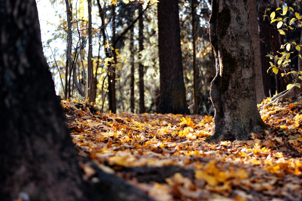 Photograph by Виталий Адуцкевич