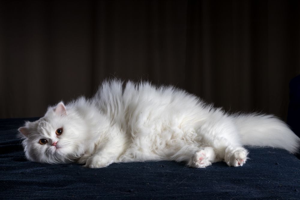 Photograph by Andrius