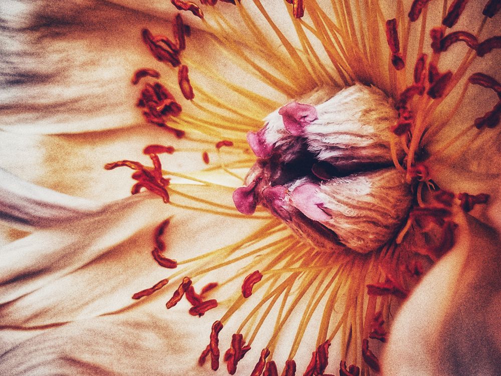 Photograph by Катерина Байдовская