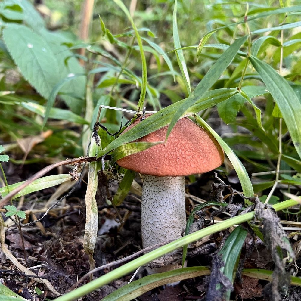 Photograph by Олег Банковский