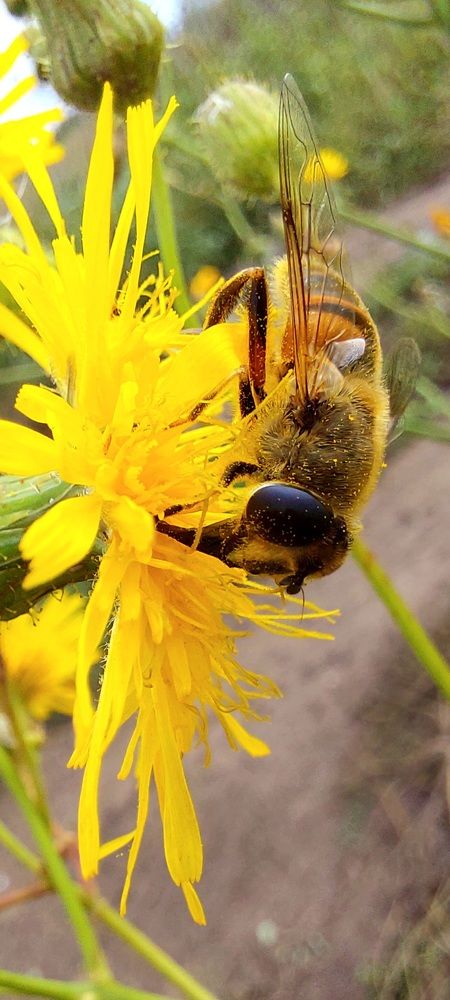 Фотография автора Сергей Можаев