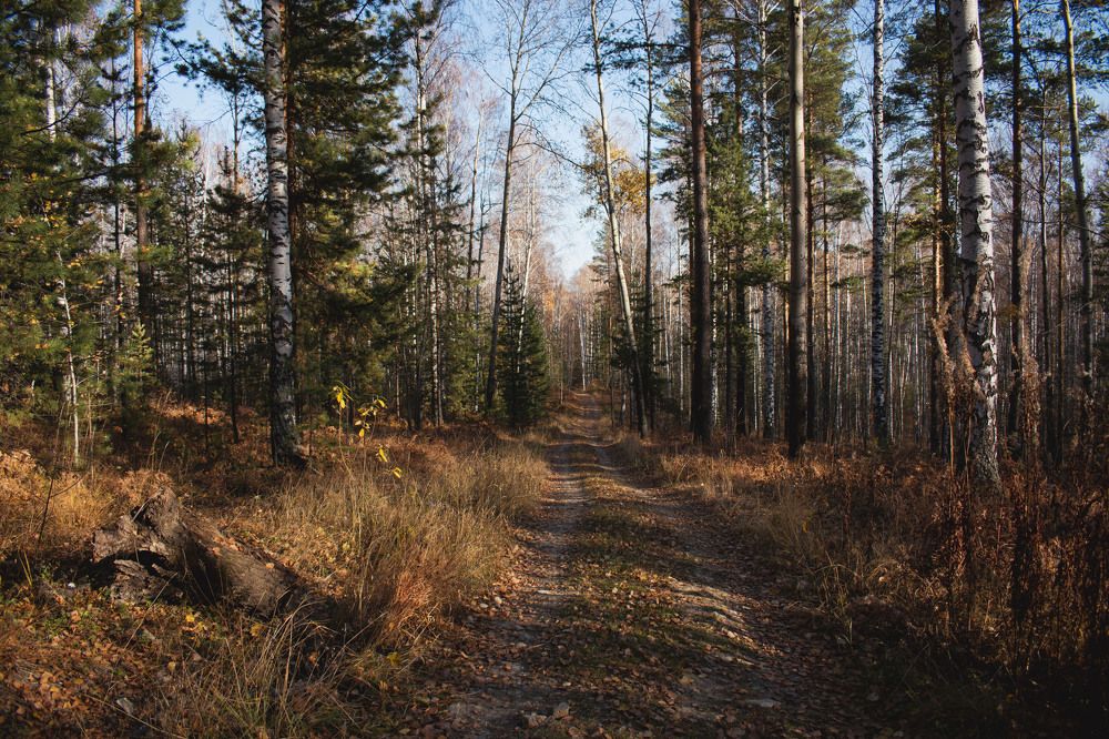 Photograph by Валерия Бебенина