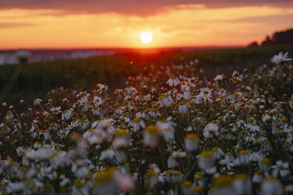 Photograph by Валерия Бебенина
