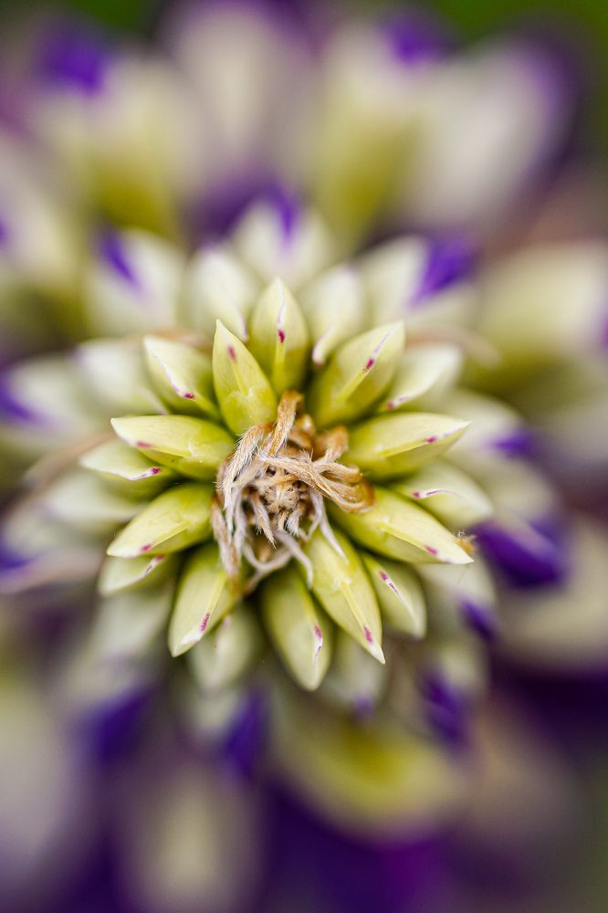 Photograph by Александр Казак