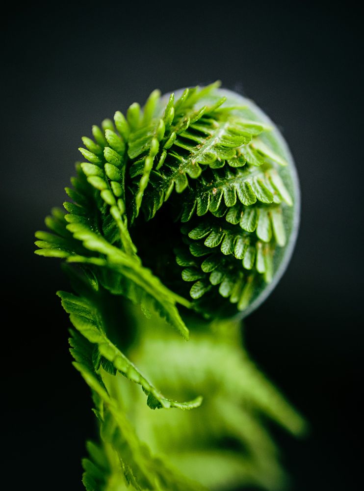 Photograph by Александр Казак