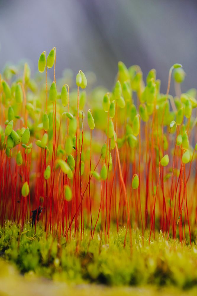 Photograph by Александр Казак