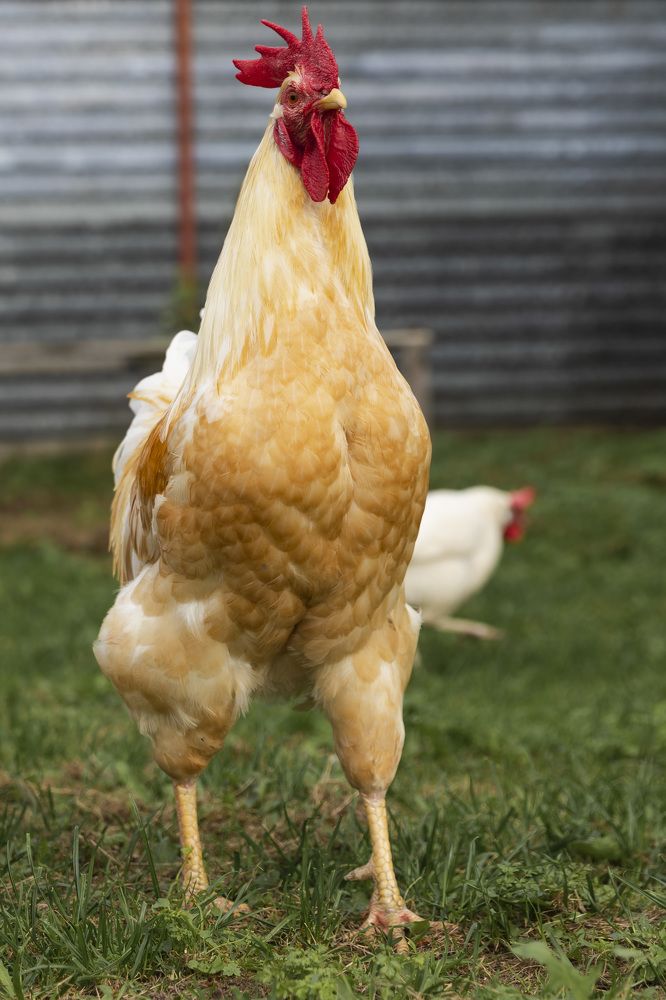 Фотография автора Татьяна Степанова