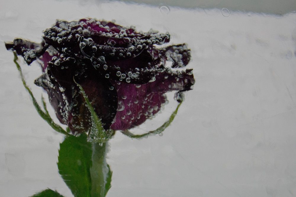 Photograph by Shubham Gupta