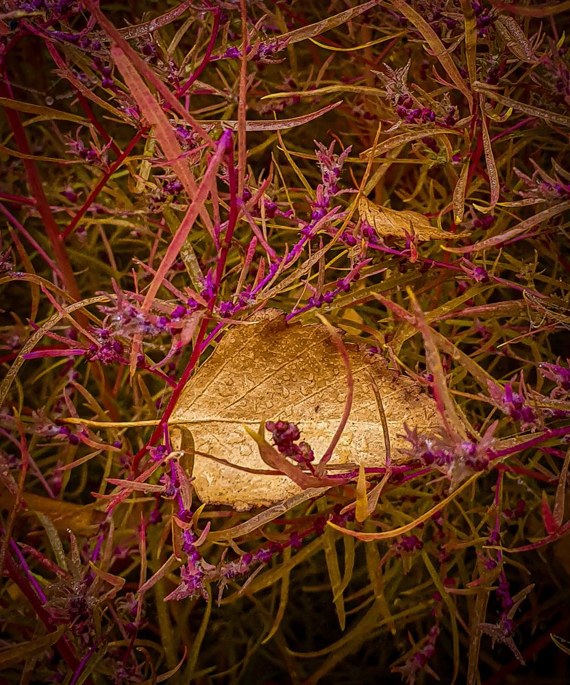 Photograph by Анастасия Трофимовская