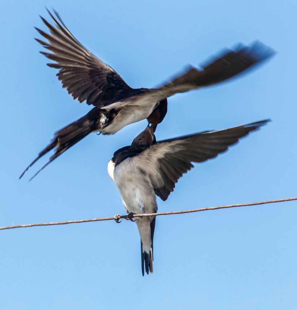 Фотография автора Vyacheslav Lozhkin