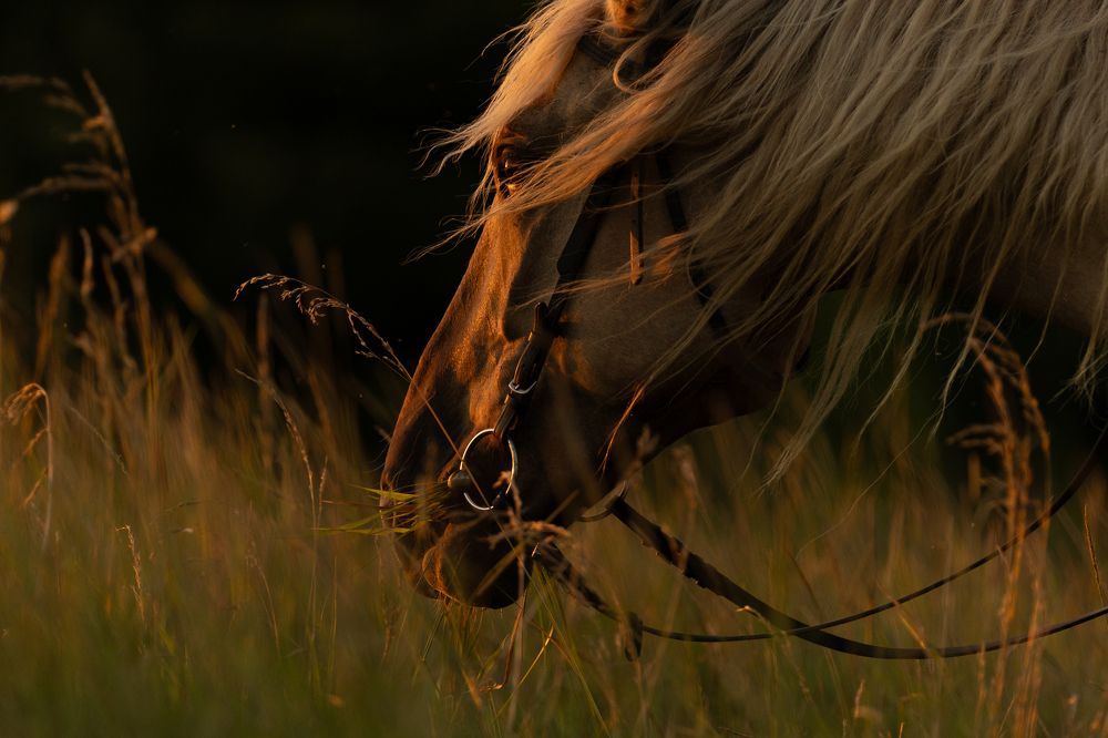 Photograph by Ирина