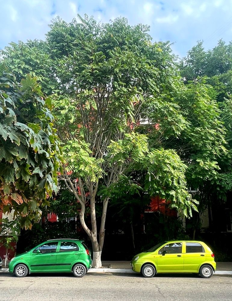 Photograph by Natalya Царева