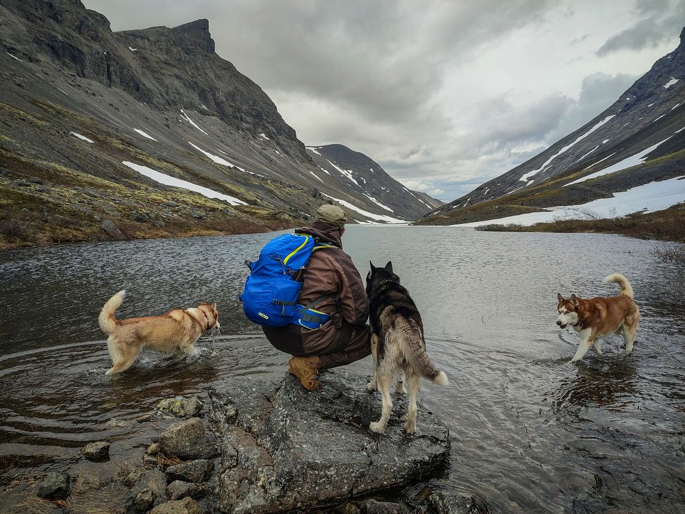 Фотография автора Olga