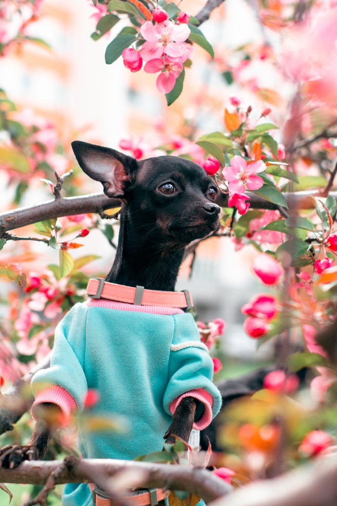 Photograph by Natasha Stugireva