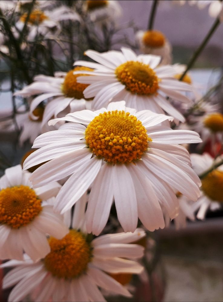 Photograph by Бутовец Алёна