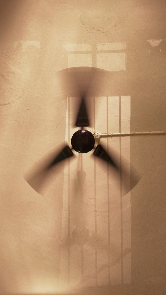 Photograph by shashiranjan prakash