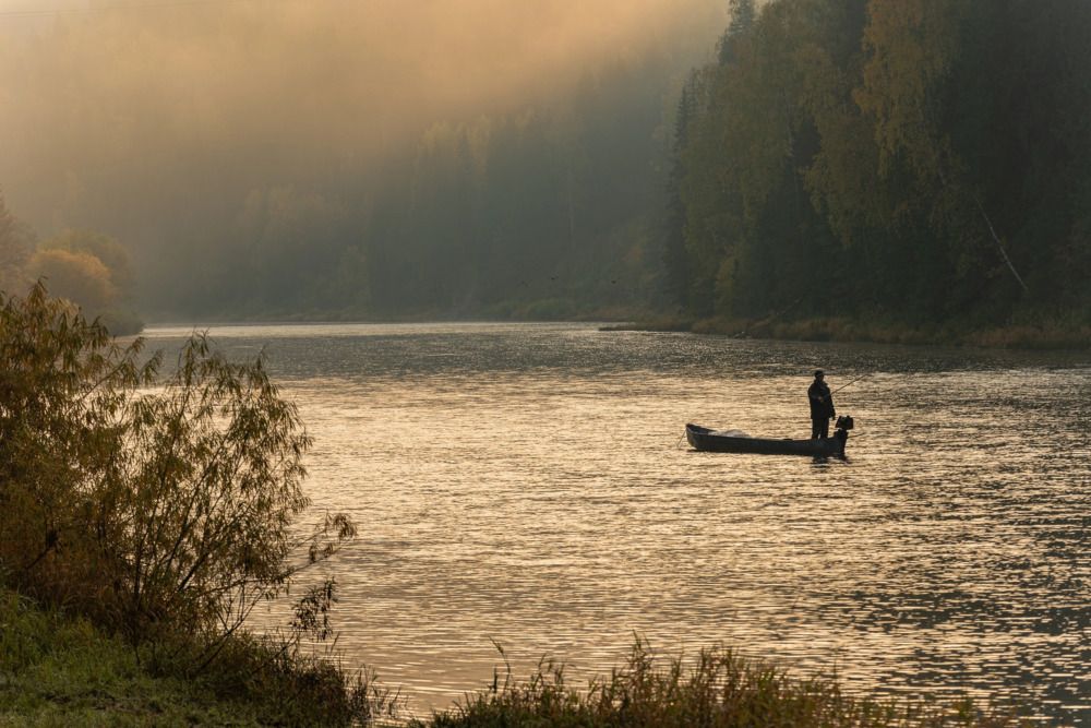 Photograph by Максим Ватрушкин