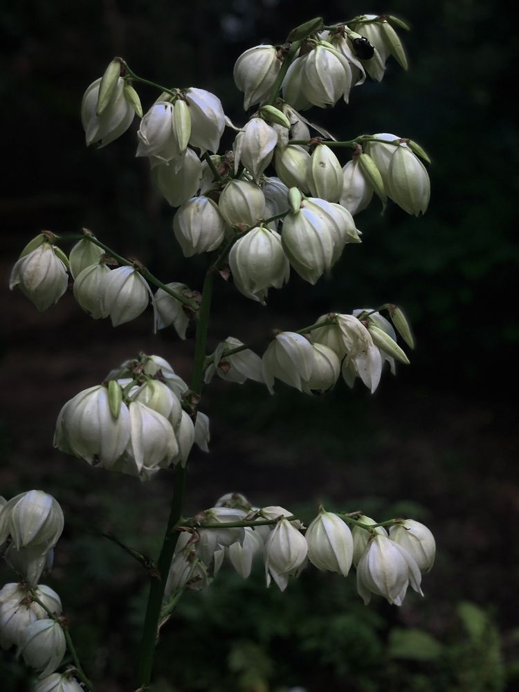 Photograph by Natalya Царева