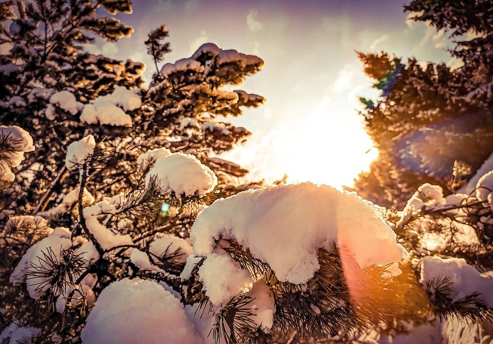 Photograph by Николай Яковлев