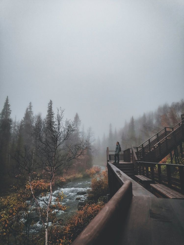 Фотография автора Olga