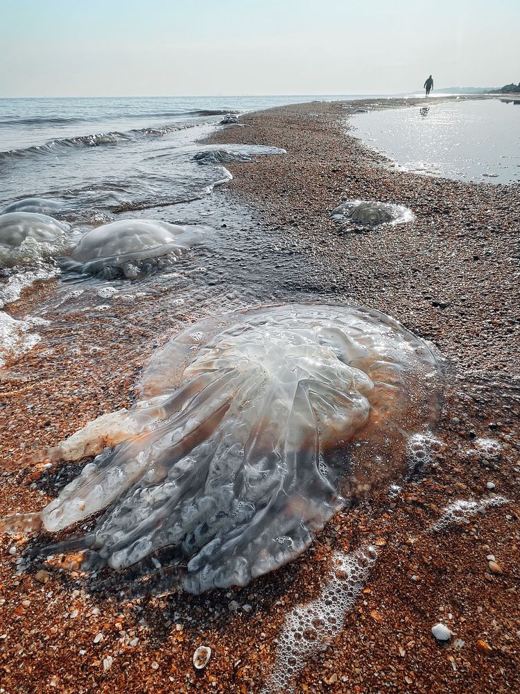 Photograph by Tatiana Teit Ash