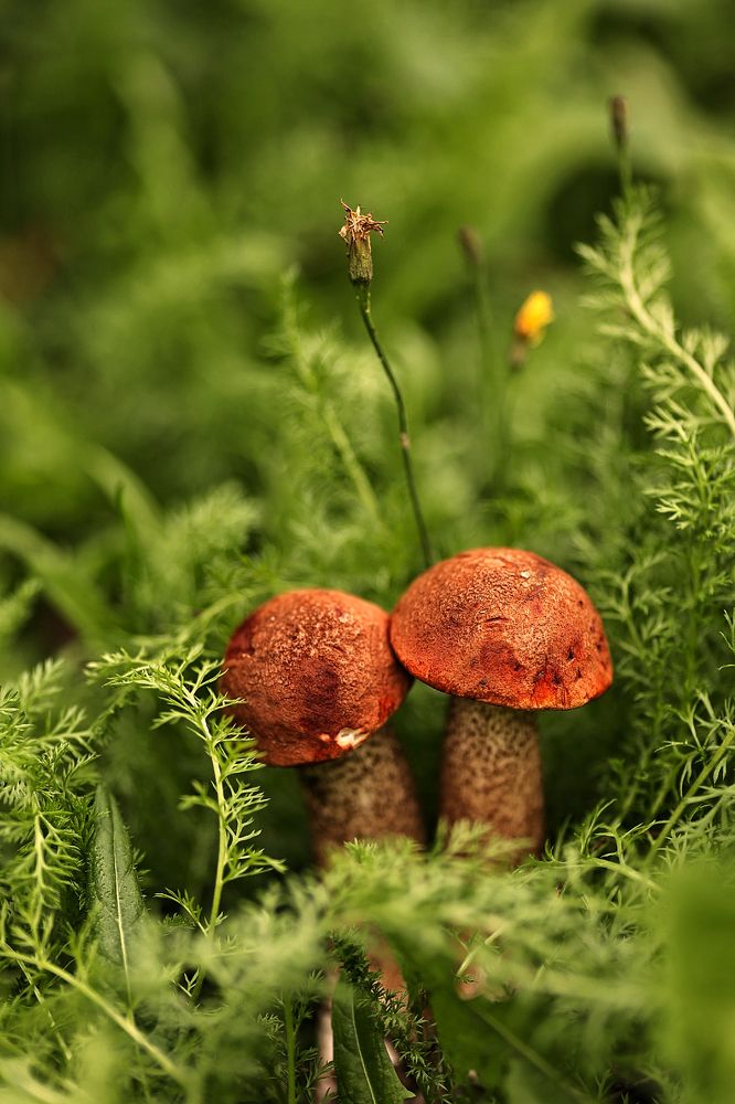 Photograph by Елена Одынец