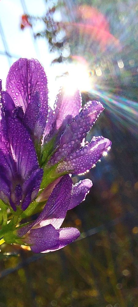 Фотография автора Сергей Можаев