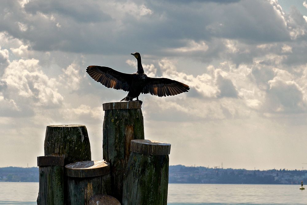 Photograph by Валерий