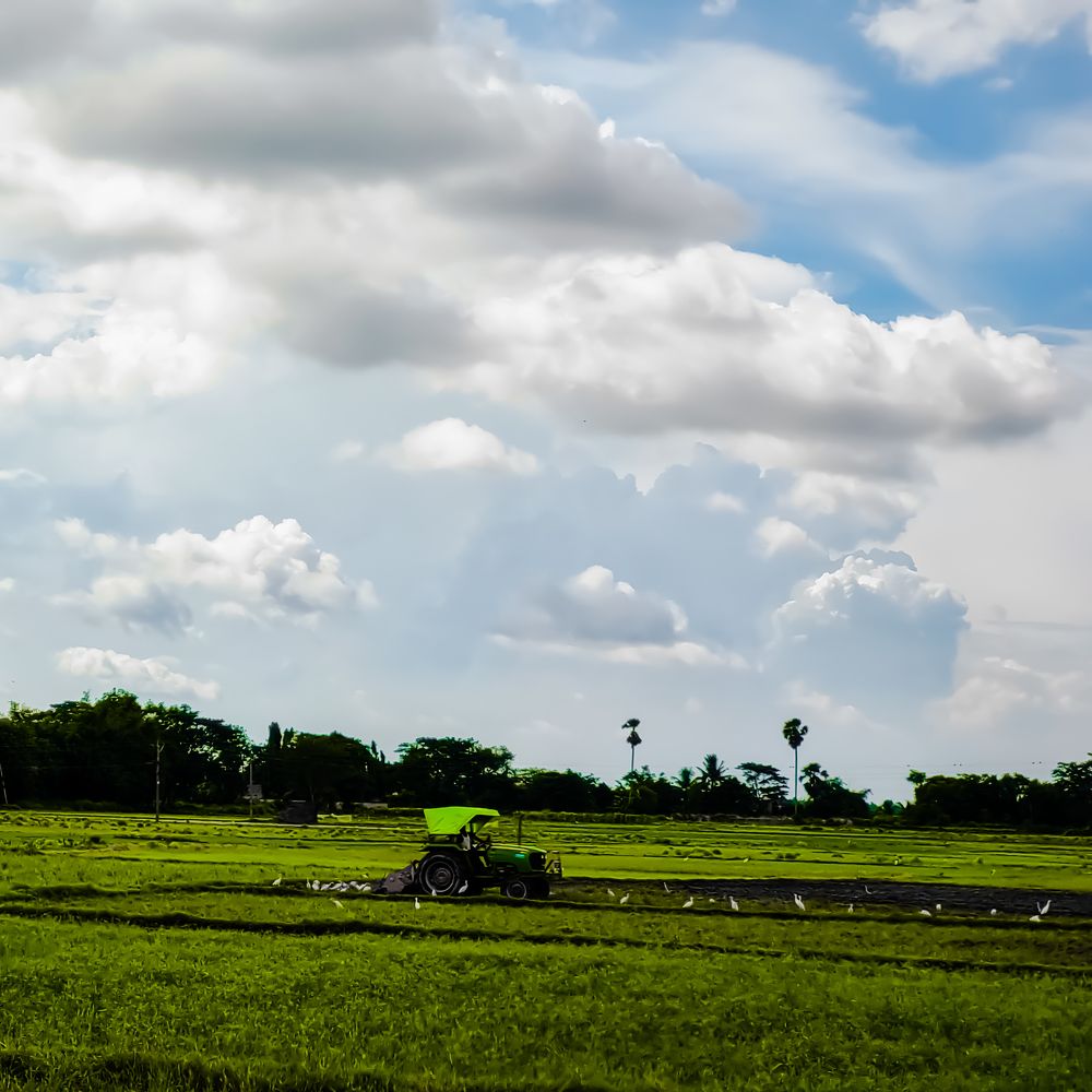 Photograph by Ankit Bhattacherjee