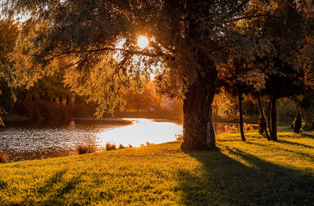 Photograph by Ольга Черкасова