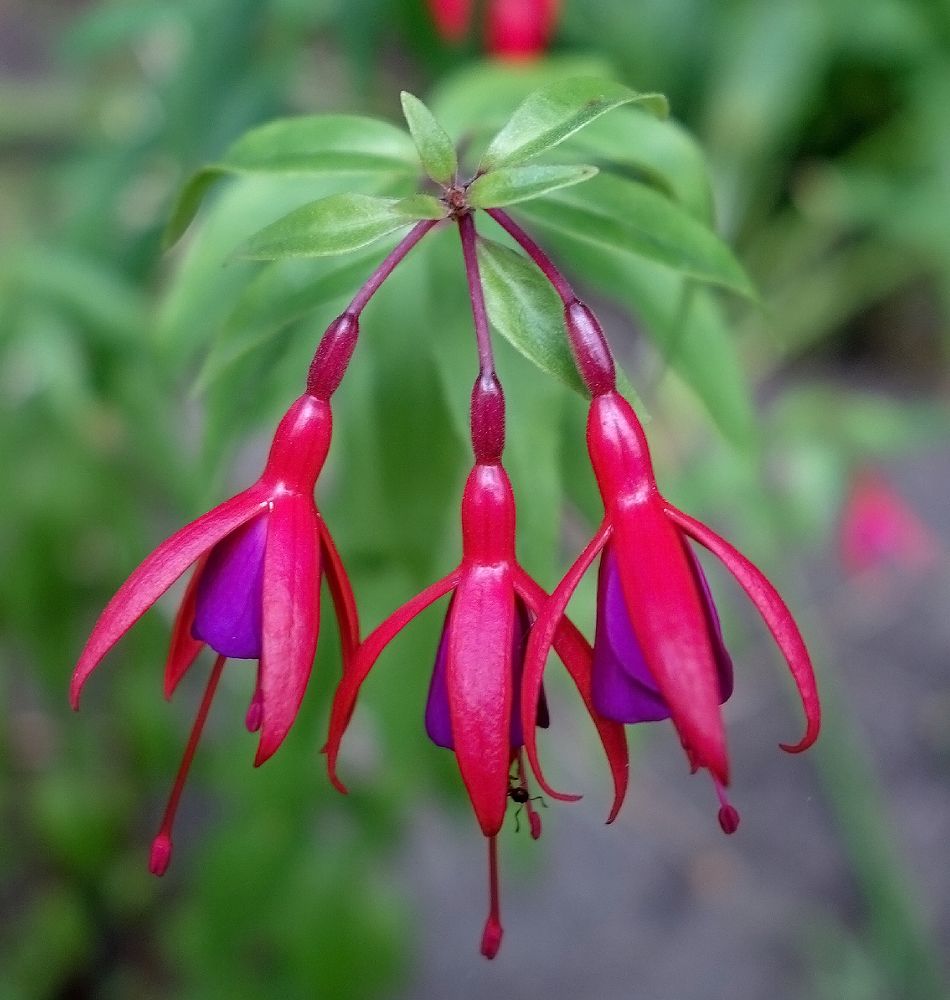 Photograph by IRINA KORNEVA