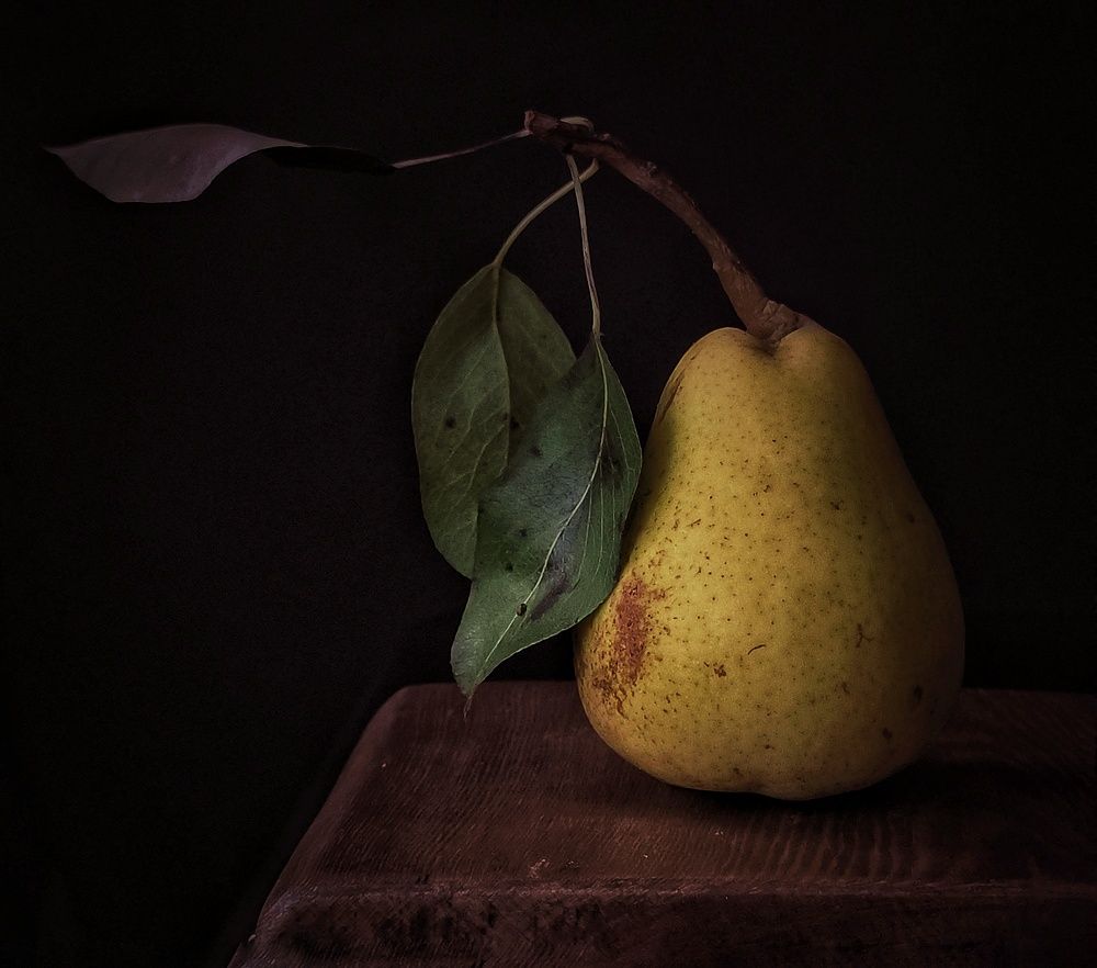 Photograph by Александра