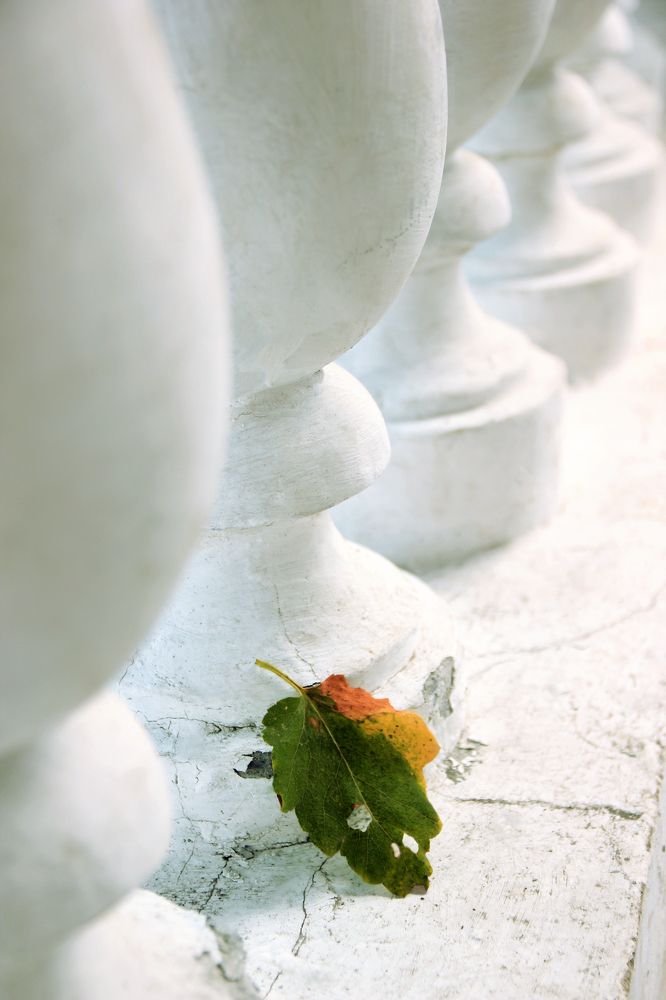 Photograph by Ольга Кочнева