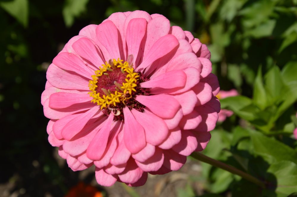 Photograph by Юрий Подвойский