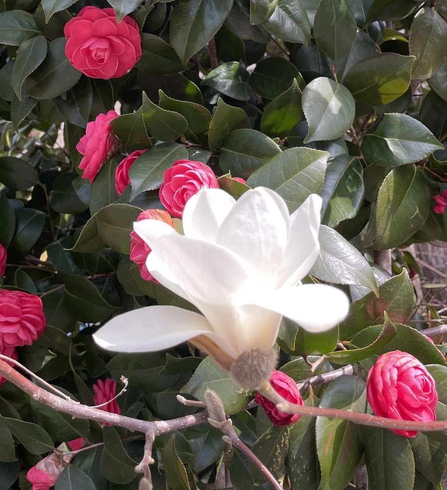 Photograph by Gorobets Olga