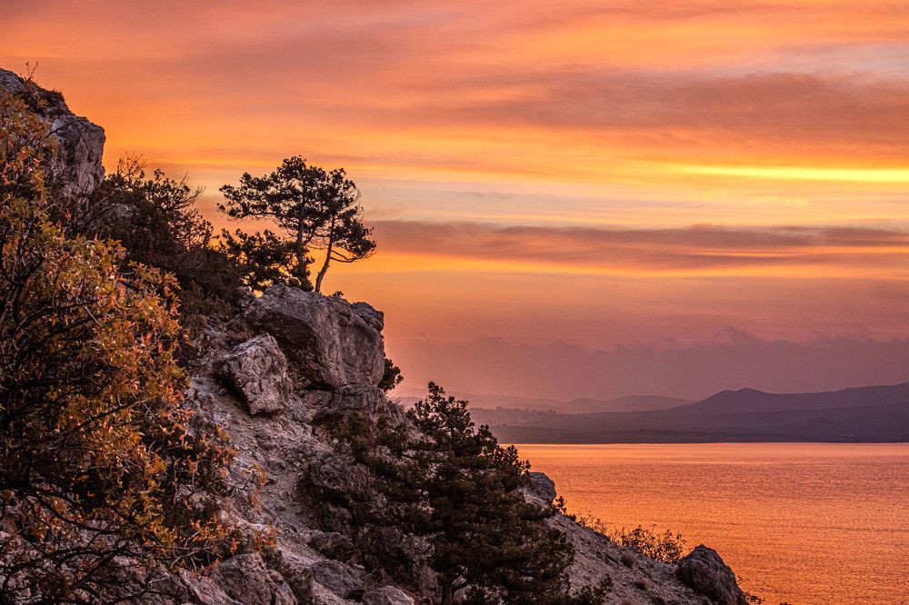 Photograph by Svetlana Dorokhova