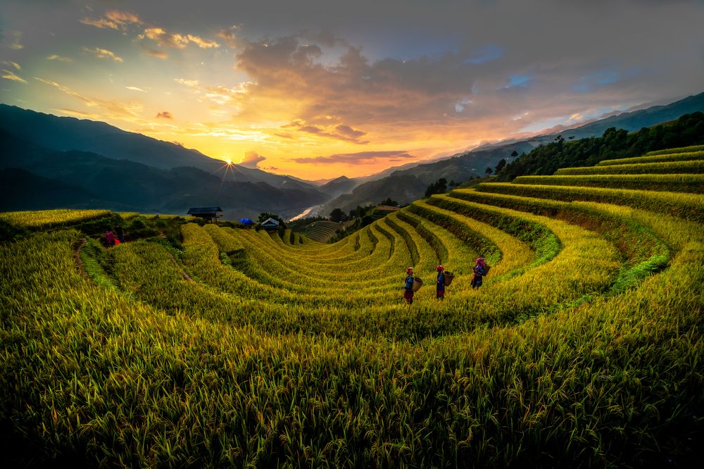 Photograph by Lê Huy Anh